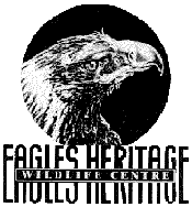  Accommodation Daintree