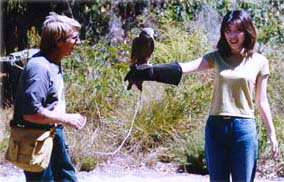 Eagles Heritage - Accommodation Daintree 2