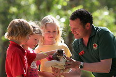 Southern Adelaide SA Accommodation Daintree