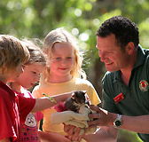 Cleland Wildlife Park - Accommodation Daintree