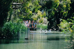 Cleland Wildlife Park - Accommodation Daintree 1