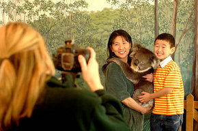 Cleland Wildlife Park - Accommodation Daintree 2