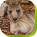  Accommodation Daintree