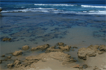 Canberra Contemporary Art Space - Accommodation Daintree 0