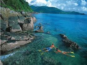 Llewellyn Dive Site - Accommodation Daintree 0