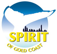 Spirit of Gold Coast Whale Watching - Accommodation Daintree