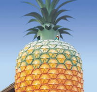 The Big Pineapple - Accommodation Daintree