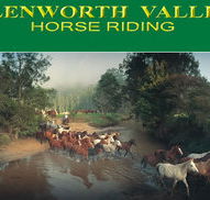 Glenworth Valley Horseriding - Accommodation Daintree