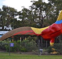 Gumbuya Park - Accommodation Daintree