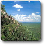 Kakadu National Park - Accommodation Daintree 2
