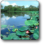 Kakadu National Park - Accommodation Daintree 3