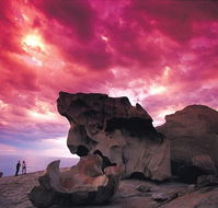 Kangaroo Island Adventure Tour 2 day/1 night - Accommodation Daintree