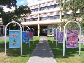 Cadbury Chocolate Factory Tour - Accommodation Daintree 2