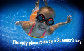 Kalamunda WA Accommodation Daintree