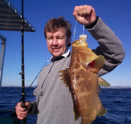 Downunder Charters - Accommodation Daintree 0