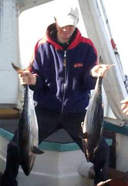 Downunder Charters - Accommodation Daintree 2