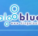 Ningaloo Blue Dive - Accommodation Daintree
