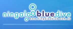 Ningaloo Blue Dive - Accommodation Daintree 0