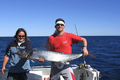 Ningaloo Blue Dive - Accommodation Daintree 3