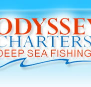 Odyssey Charters - Accommodation Daintree