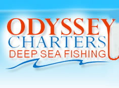 Odyssey Charters - Accommodation Daintree 0