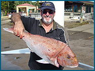 Odyssey Charters - Accommodation Daintree 1