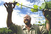 Barossa Valley SA Accommodation Daintree
