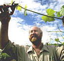 Barossa Experience Tours - Accommodation Daintree