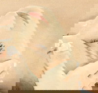 The Golden Door Spa  Health Club at Mirage Resort - Accommodation Daintree