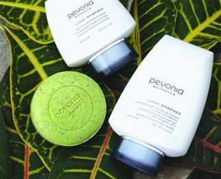 AQueous Spa - Accommodation Daintree 1