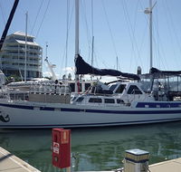 Coral Sea Dreaming Dive and Sail - Accommodation Daintree