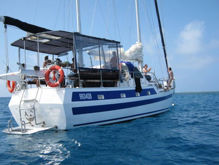 Coral Sea Dreaming Dive And Sail - Accommodation Daintree 3