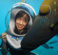 Sunlover Reef Cruises - Accommodation Daintree