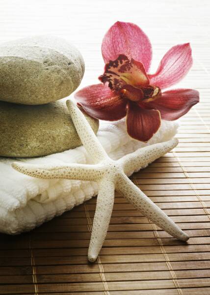 Spa On Brougham - Accommodation Daintree 3