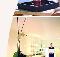 Lyall Hotel and Spa - Accommodation Daintree