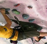 Urban Climb - Accommodation Daintree