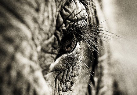 Eleven40 Gallery - Accommodation Daintree 5