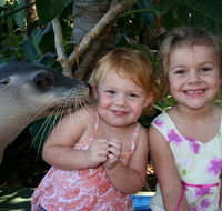 Dolphin Marine Magic - Accommodation Daintree