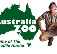 Australia Zoo - Accommodation Daintree
