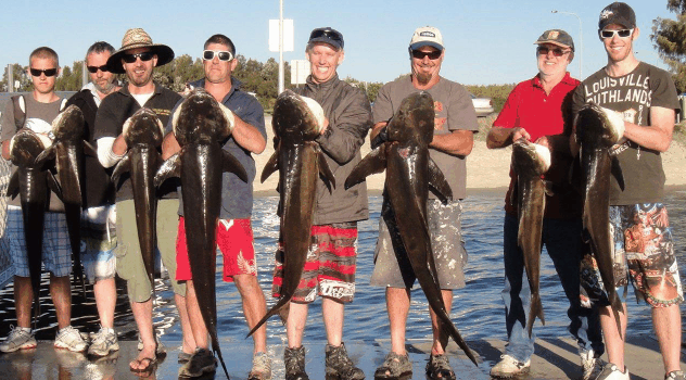 BKs Gold Coast Fishing Charters - Accommodation Daintree 1