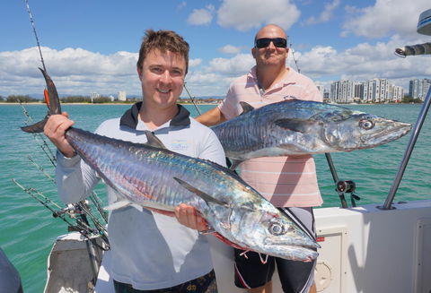 BKs Gold Coast Fishing Charters - Accommodation Daintree 6