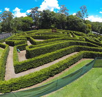 Bellingham Maze - Accommodation Daintree