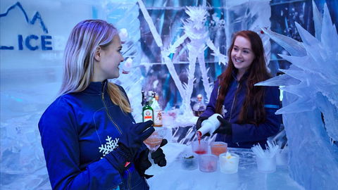 Icebar Melbourne - Accommodation Daintree 1