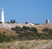 Wadjemup Lighthouse - Accommodation Daintree