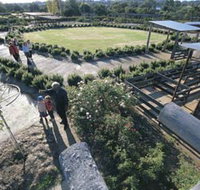 Kojonup Rose Maze - Accommodation Daintree