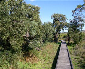 Kepwari Trails Wetland Wonderland - Accommodation Daintree 0