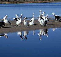 Peel Region Canoe Trails - Accommodation Daintree