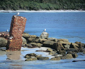 Whalers Beach - Accommodation Daintree 0