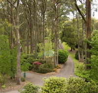 Mount Lofty Botanic Garden - Accommodation Daintree