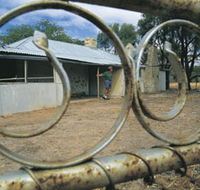 Youndegin - Accommodation Daintree